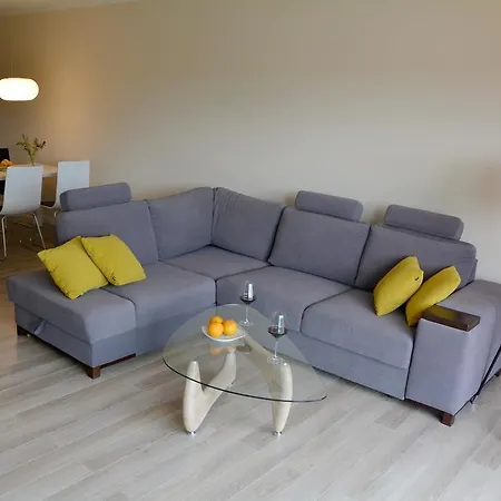 Apartament Vip *